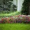 10-Pack No-Dig Garden Fence Panels, Rustproof Metal Decorative Border Fence